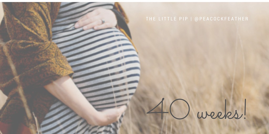 40 weeks