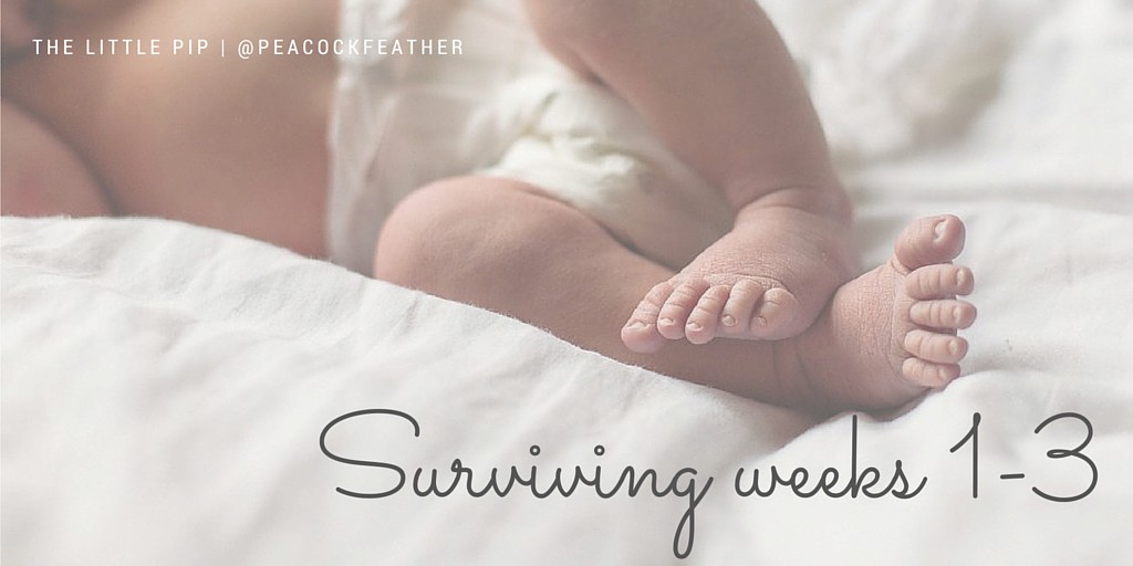 Surviving weeks 1-3 with a newborn