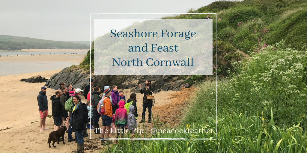 Things to do in the school holidays: Seashore forage and feast